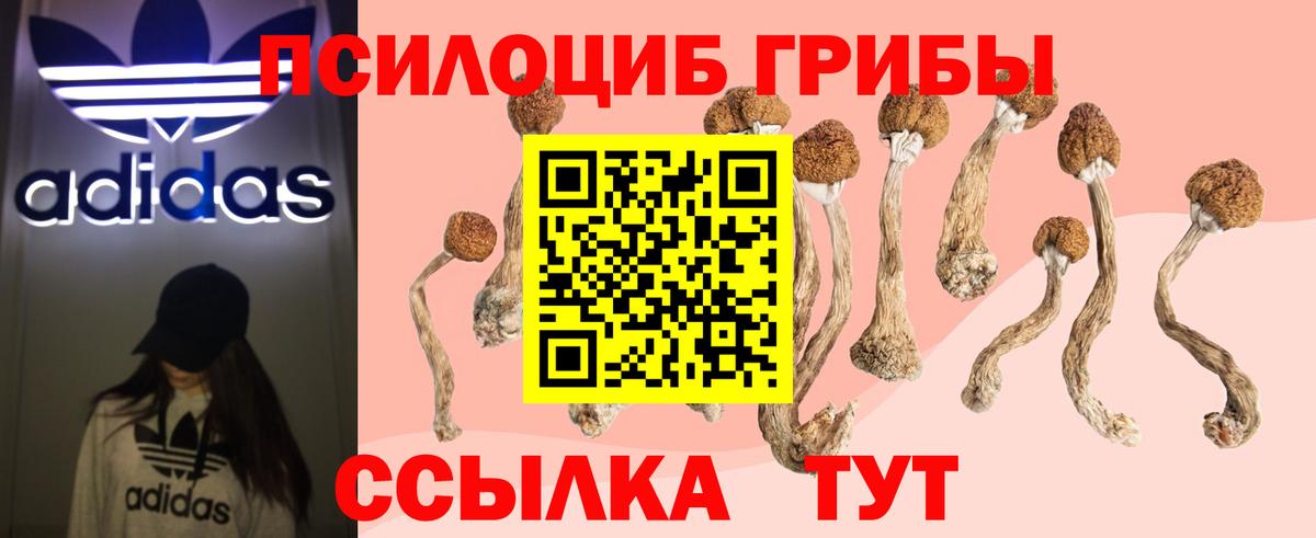 купить   Псилоцибиновые грибы мухоморы  Вход с VPN  Ногинск 